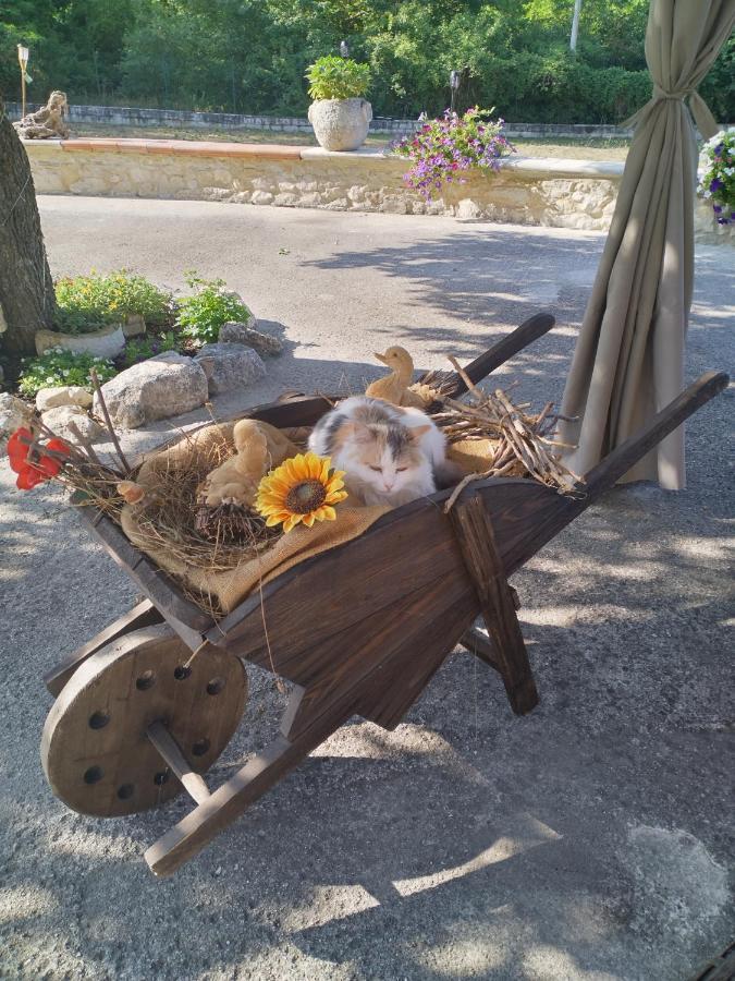 "Il Miglio" Country House Pettorano sul Gizio Exterior foto